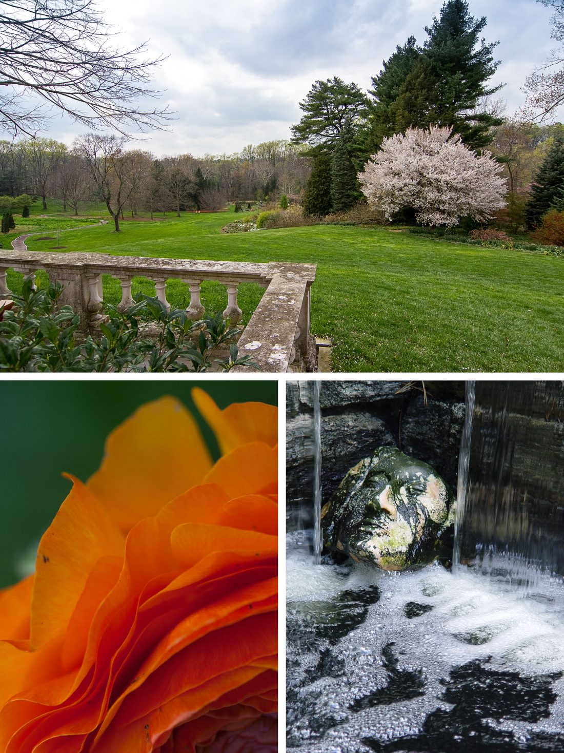 00Seedlings 2018 JUNCTURE